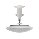 Beamforming Ceiling Array Microphone